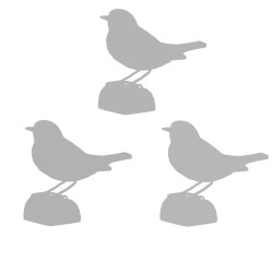 3 opcjonalne ptaki
