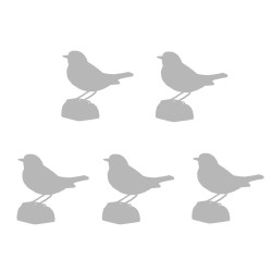 5 opcjonalne ptaki